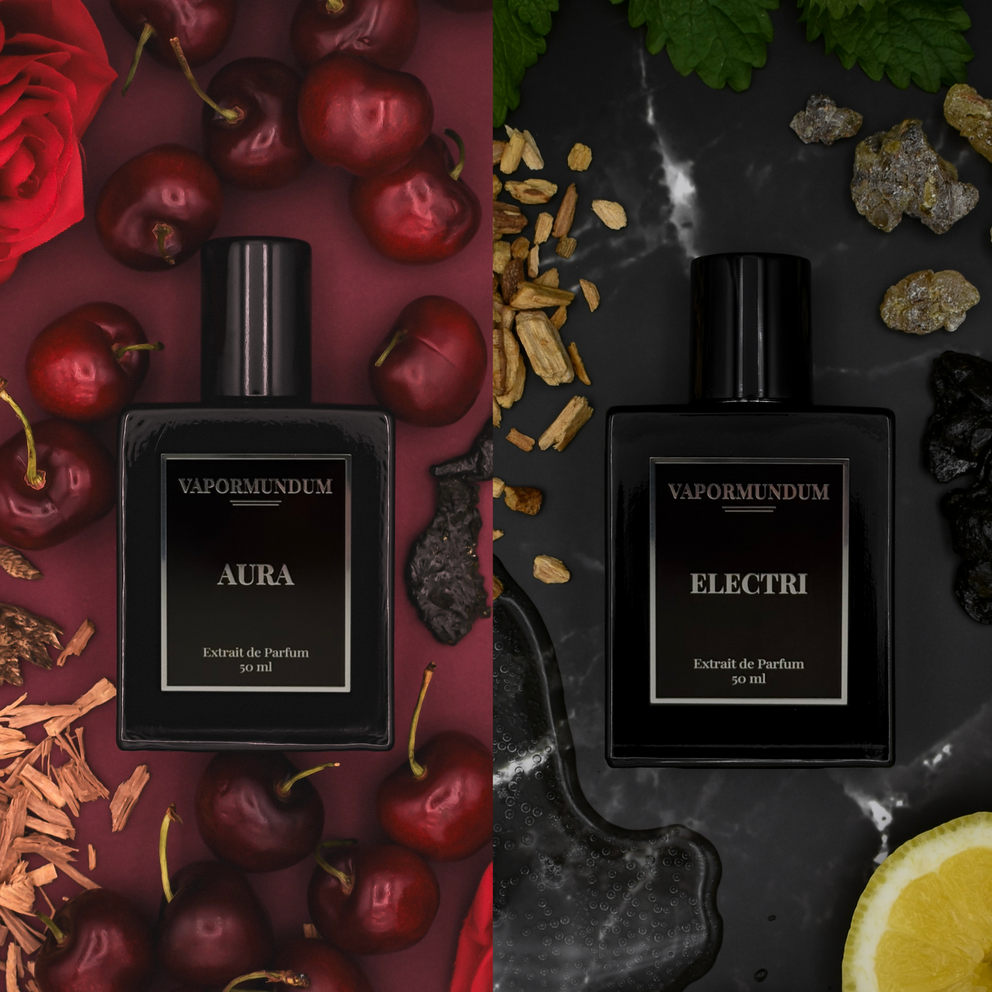 Aura x Electri Bundle