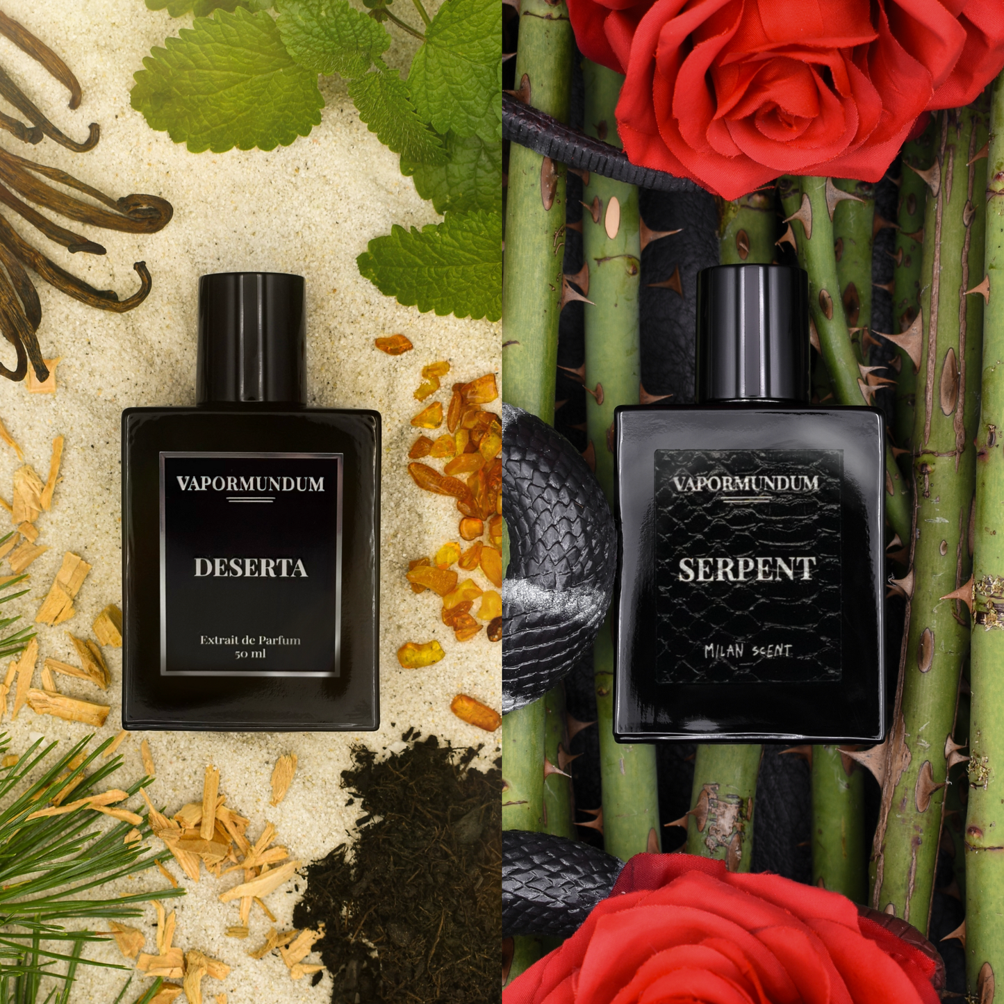 Deserta x Serpent Bundle