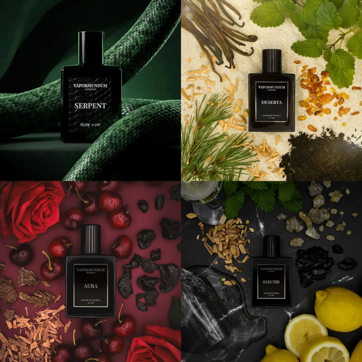vapormundum Signature Collection featuring four 50ml Extraits de Parfum: Serpent, Deserta, Aura, and Electri presented in an artistic four-quadrant split flat lay with raw botanical ingredients and dark luxury textures