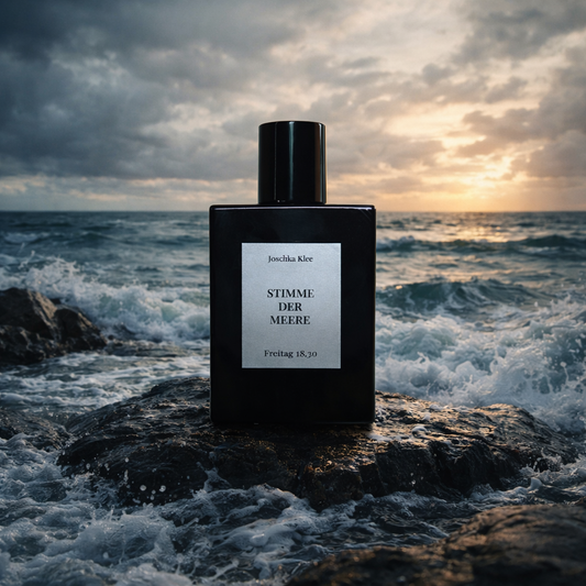 Stimme der Meere